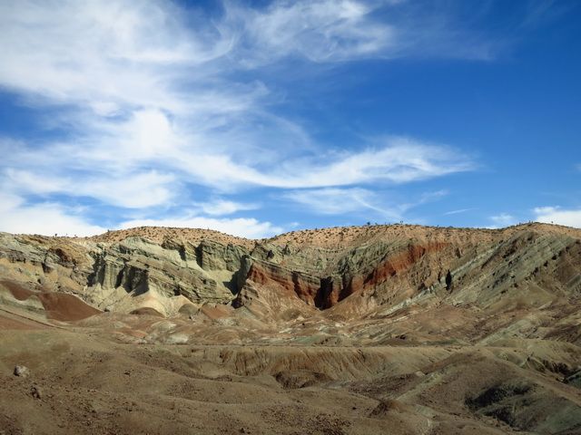 IMG_3013.jpg