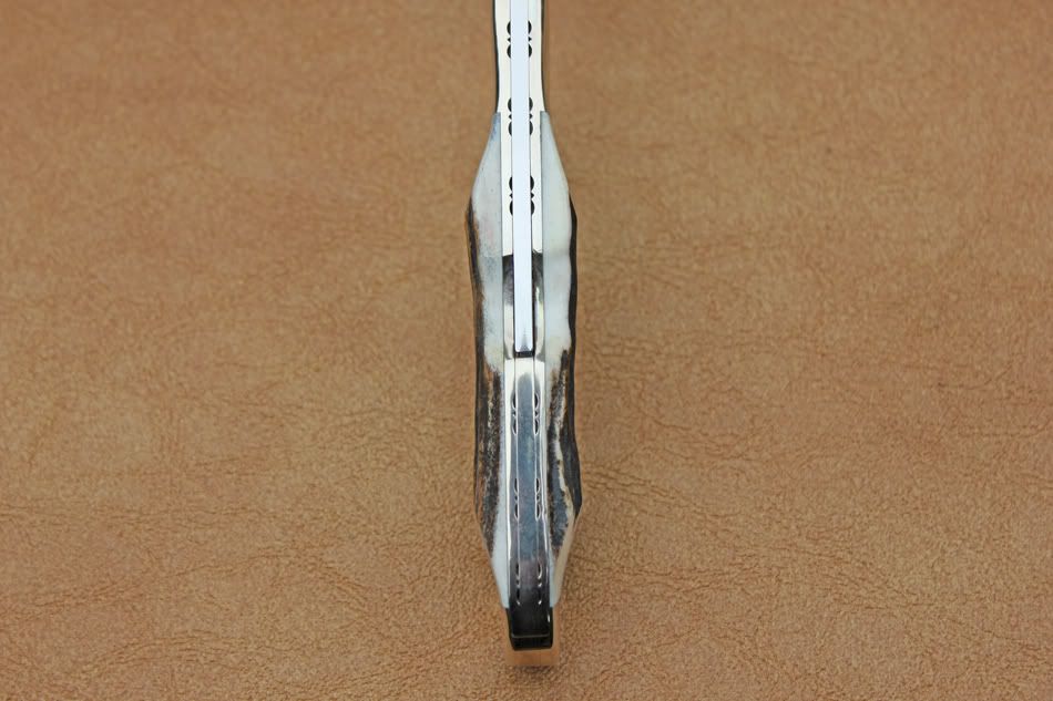 stag532e.jpg