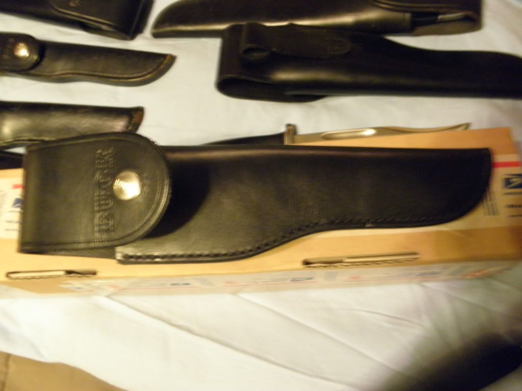17933linertheelusiveBuck001.jpg