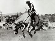 Rodeo.jpg