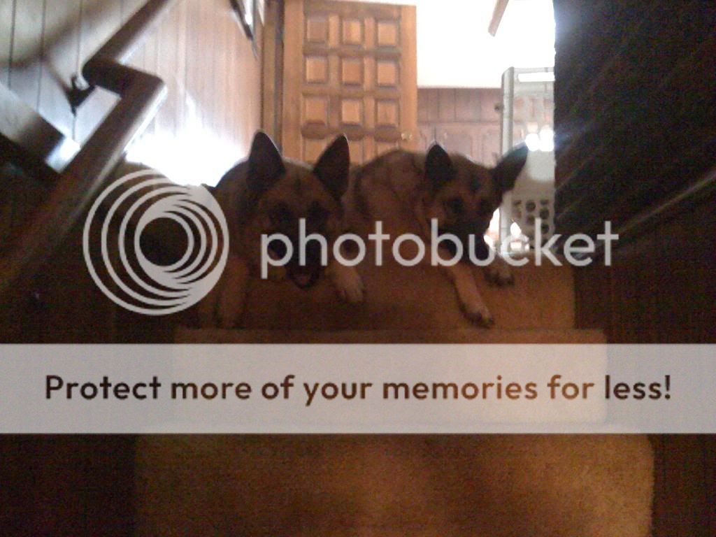 July2011199_zpse3a1d49b.jpg