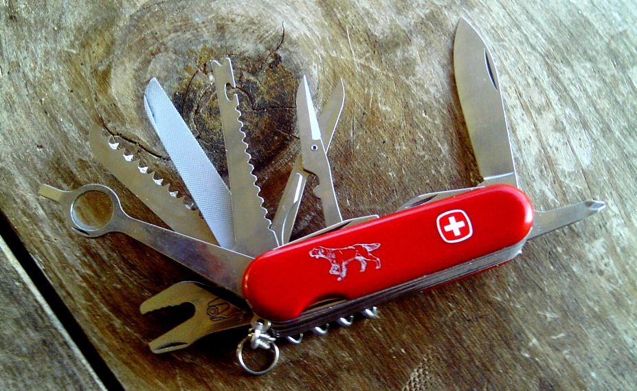 WengerPointer-Setter_zpsae8bcb1a.jpg