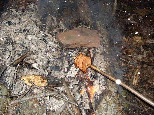 12011737704_d7482c632e.jpg