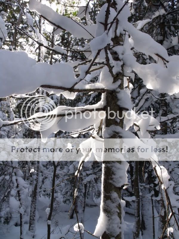 snowshoeslateDecember2013.jpg