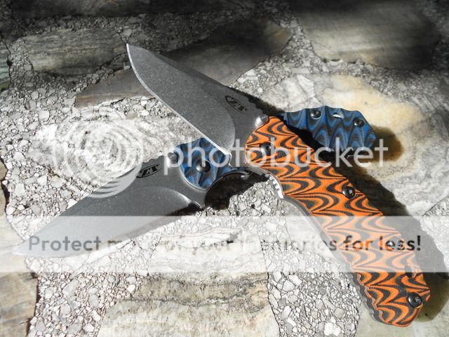 DSCN0825.jpg