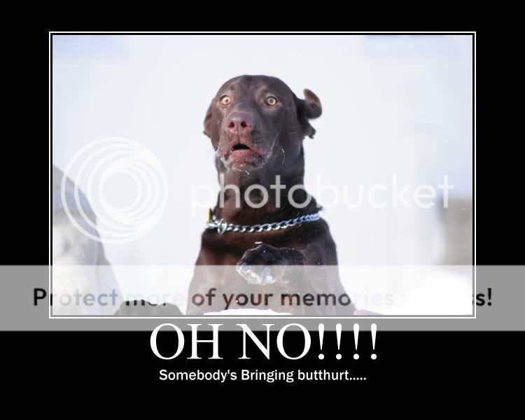 motivatorb1fcbab23c391a7d527163a95c.jpg