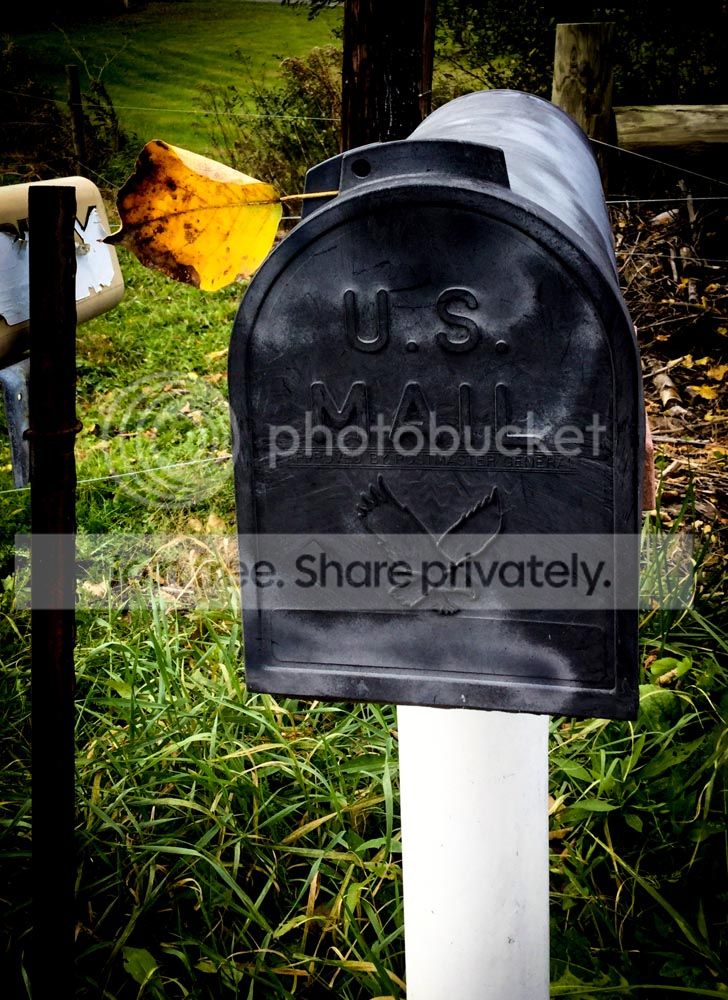 leaf_tales.jpg~original