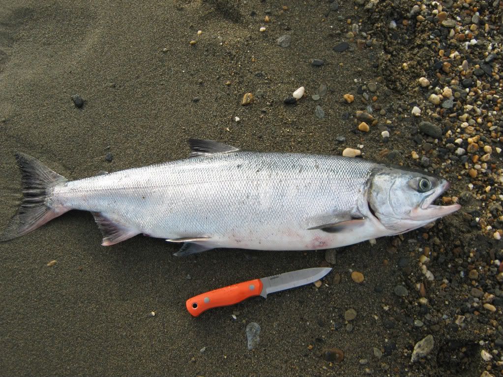 summer7-20-2010009.jpg