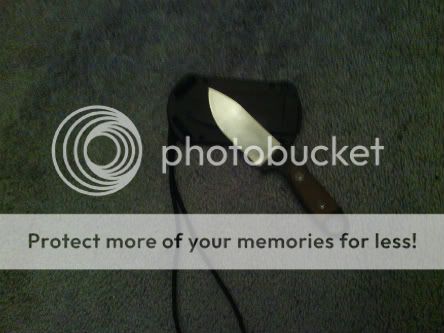 IMG_20120203_181111.jpg