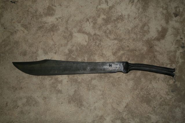 seal04.jpg