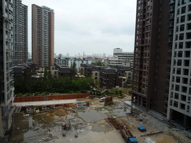 P1000767.jpg
