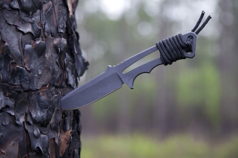 CRK_PS.jpg