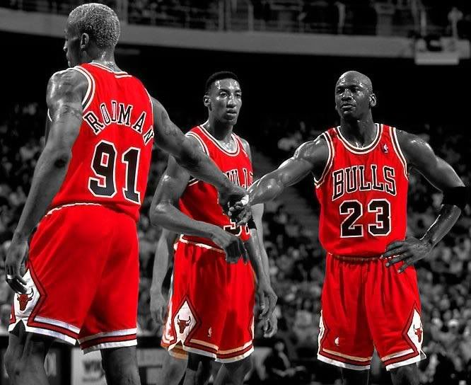 Bulls.jpg
