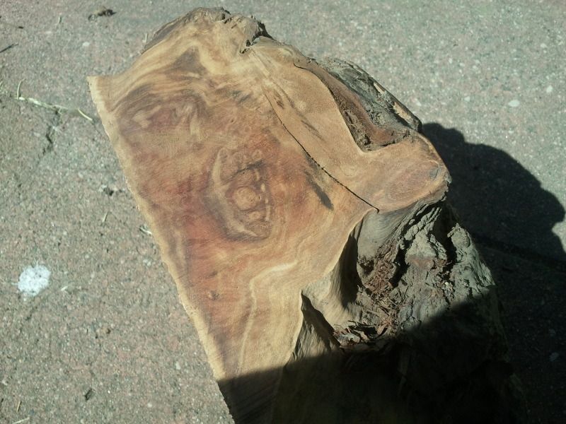 2012-06-08101311.jpg