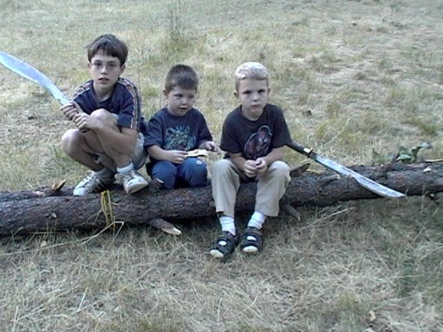 3Tarwar2logs013.jpg