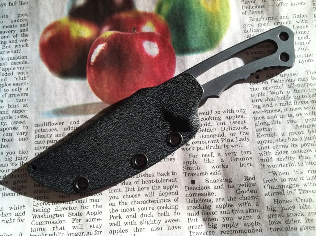 custom1030.jpg