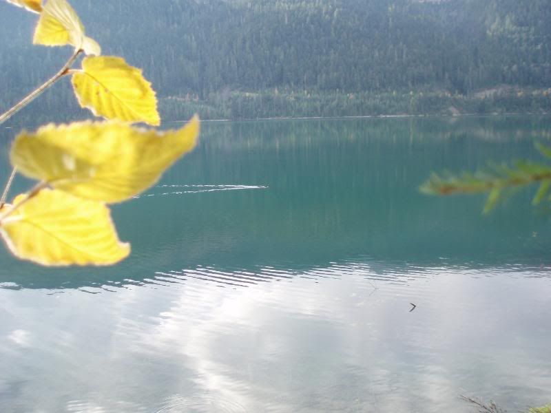 Oct2011033.jpg