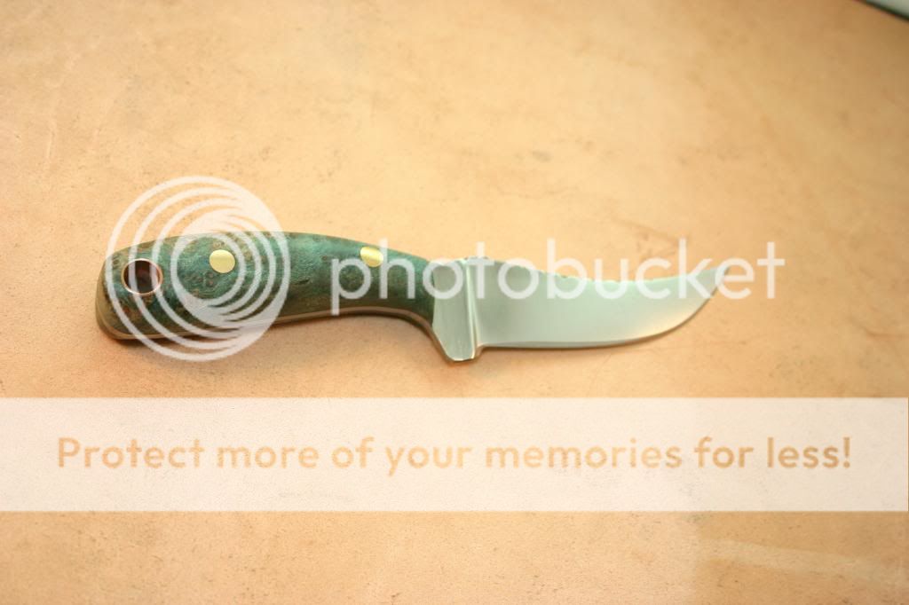 IMG_4248_zpsb95dd9d1.jpg