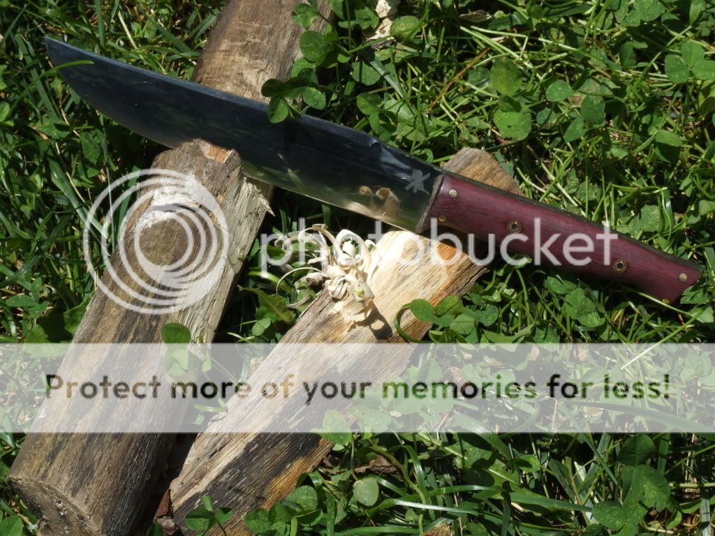 DSCF6425.jpg