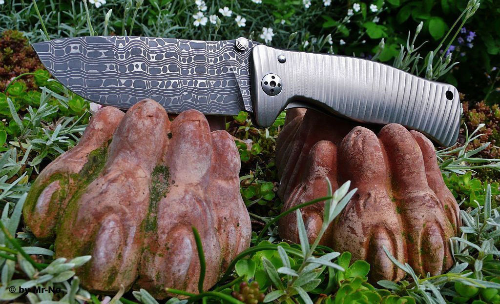 lionsteel3_zps77eadf50.jpg