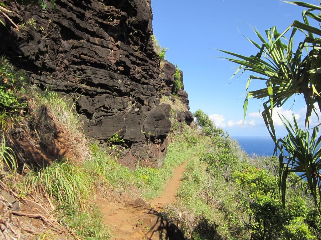 Kauai13055_zps404e5d83.jpg