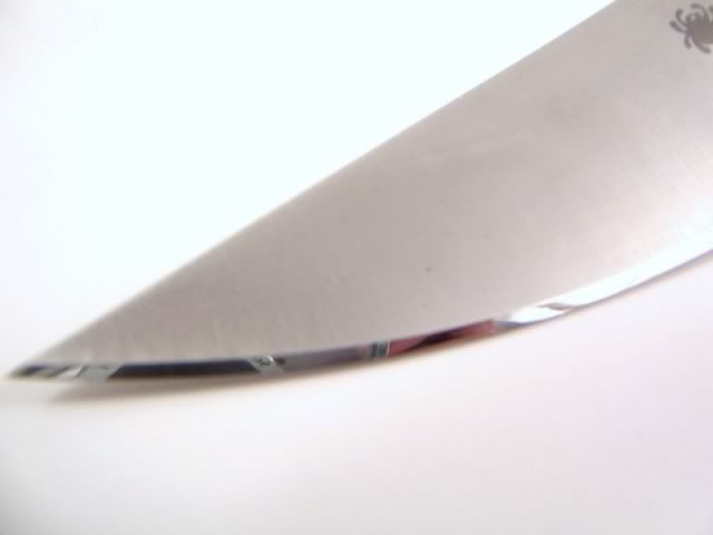 009-17.jpg