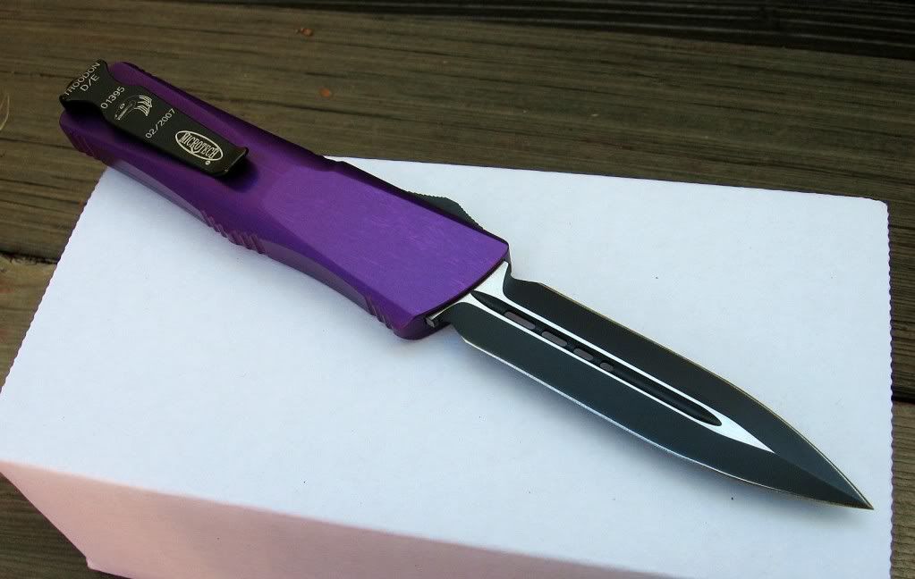PurpleTroodon06.jpg