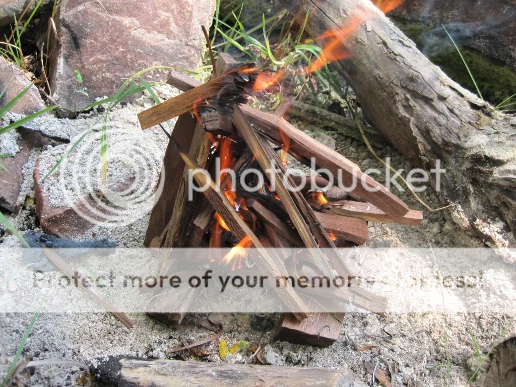 IMG_0184.jpg