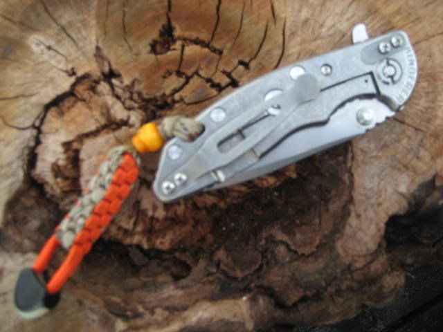 my3flipper5.jpg