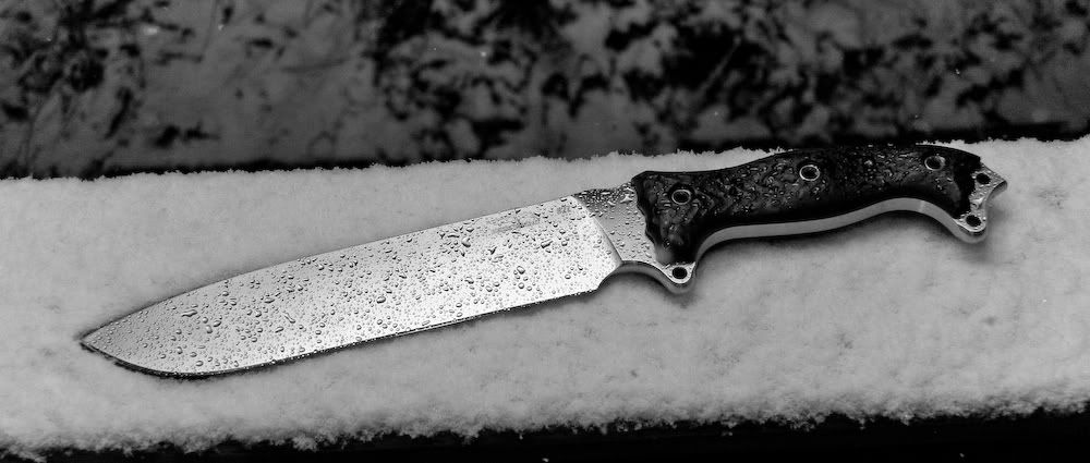 Busse-NMFSHLE27c.jpg