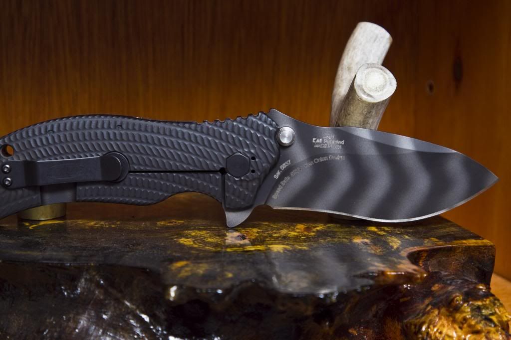 ZT03014.jpg