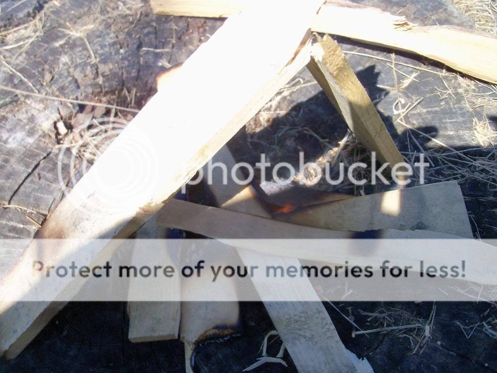 100_4105.jpg