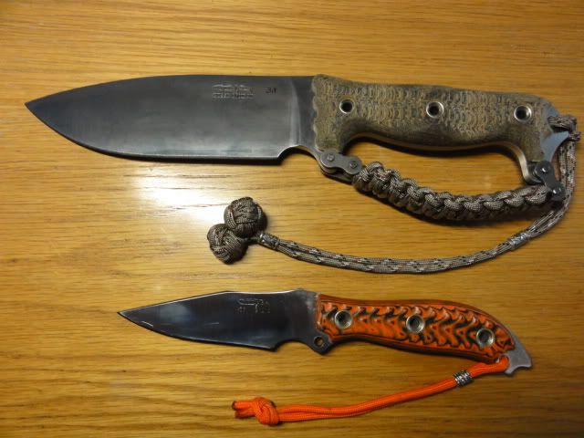 Busse3.jpg