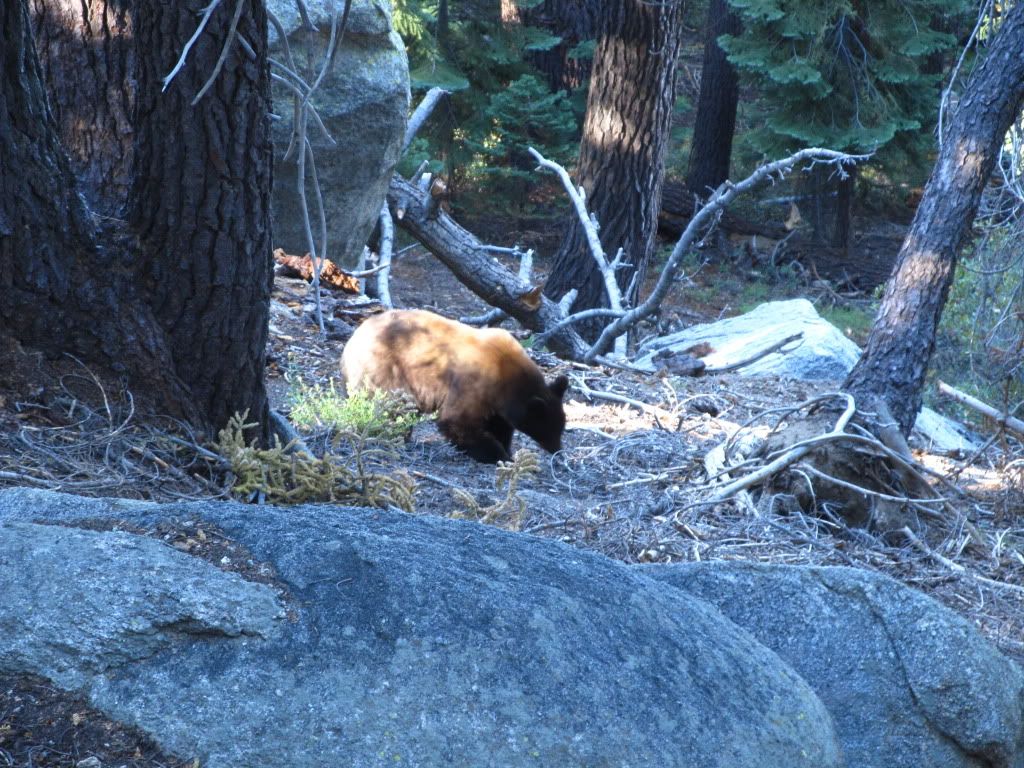 IMG_3126.jpg