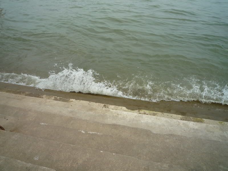 P1060579.jpg