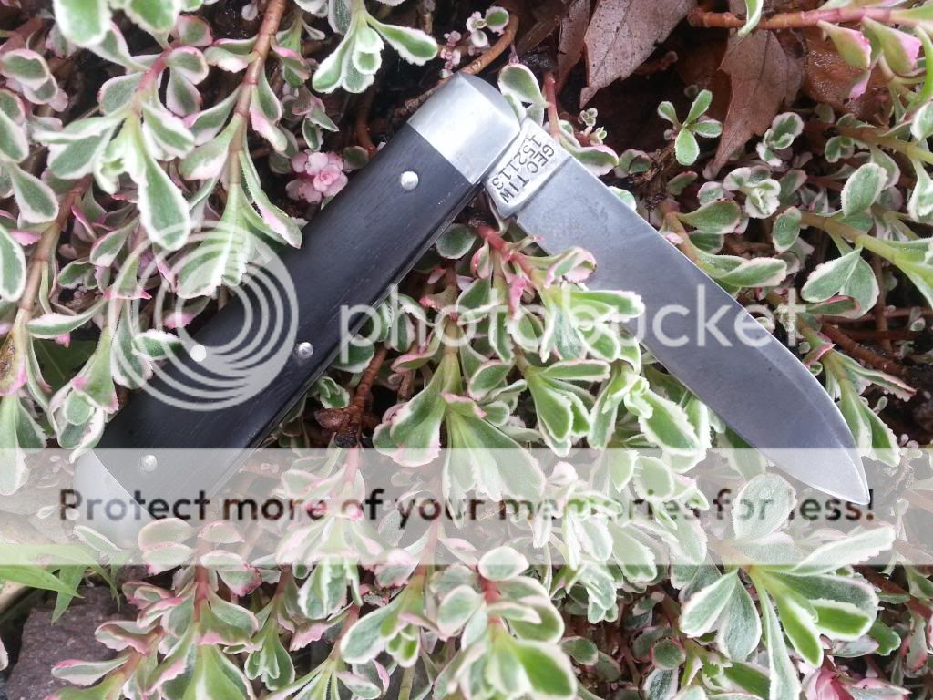 20140601_094949_zpsaqm0ein3.jpg