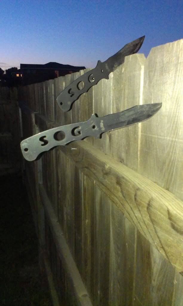IMAG0345.jpg