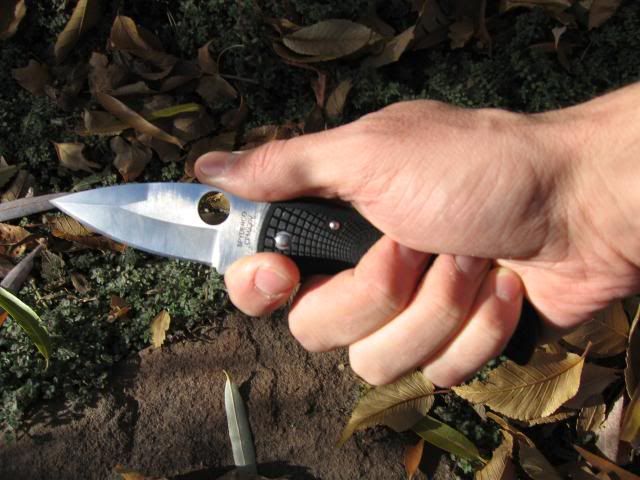 native-in-hand-1_scaled.jpg