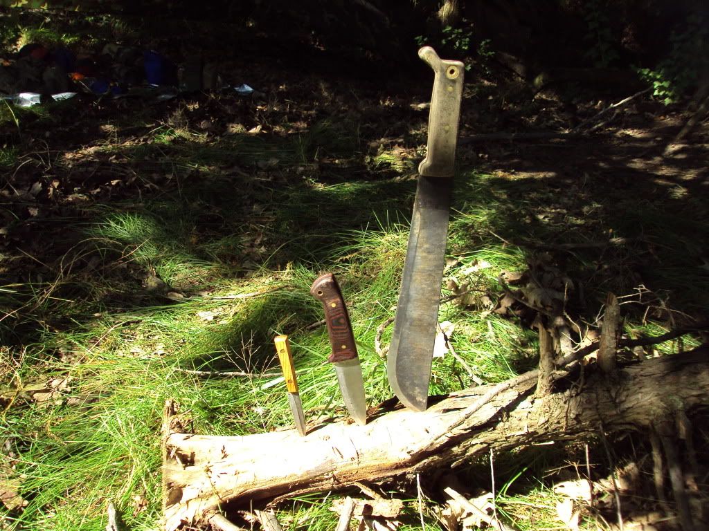 DSC00952.jpg