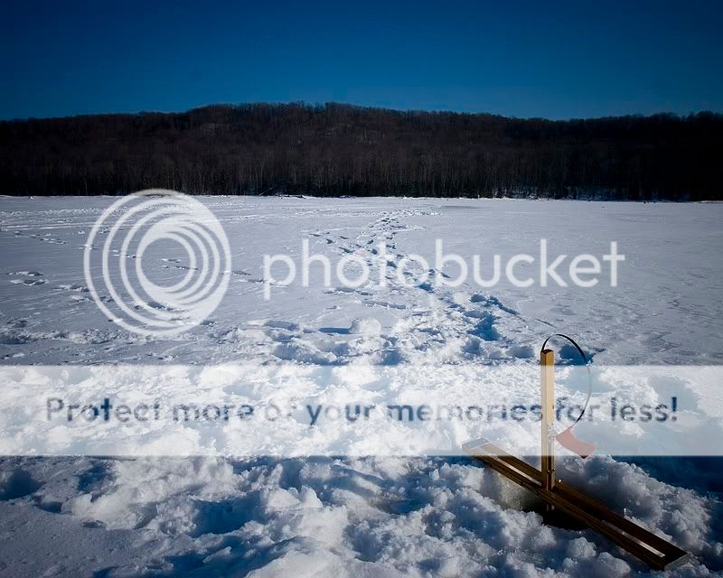 IMG_5058.jpg