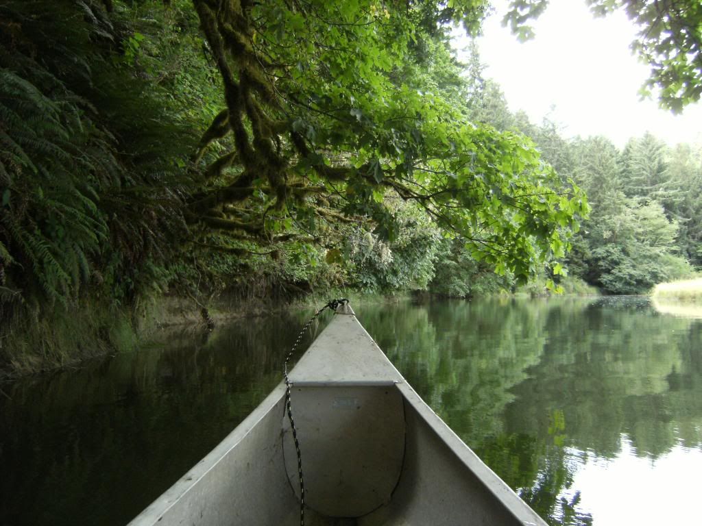 aug2010093.jpg