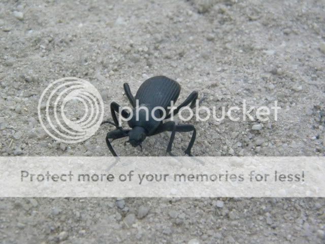 June6733.jpg