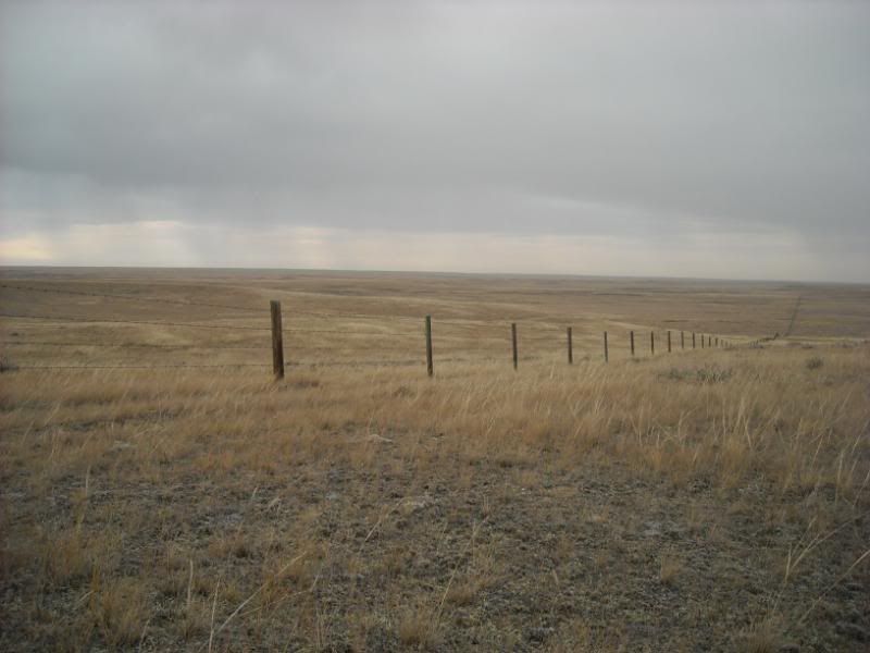 hunting2010042-1.jpg