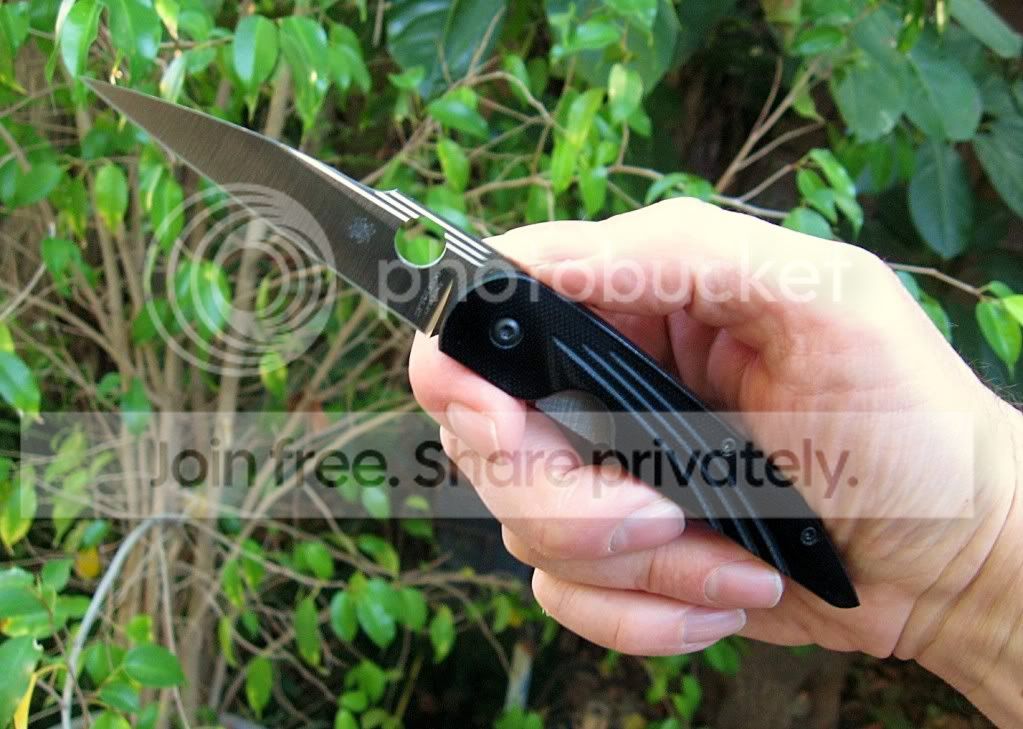 SpydercoDesHorn08.jpg