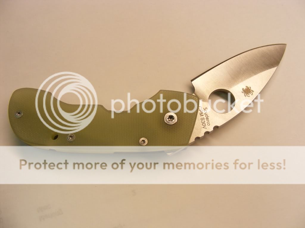 leafstorm.jpg