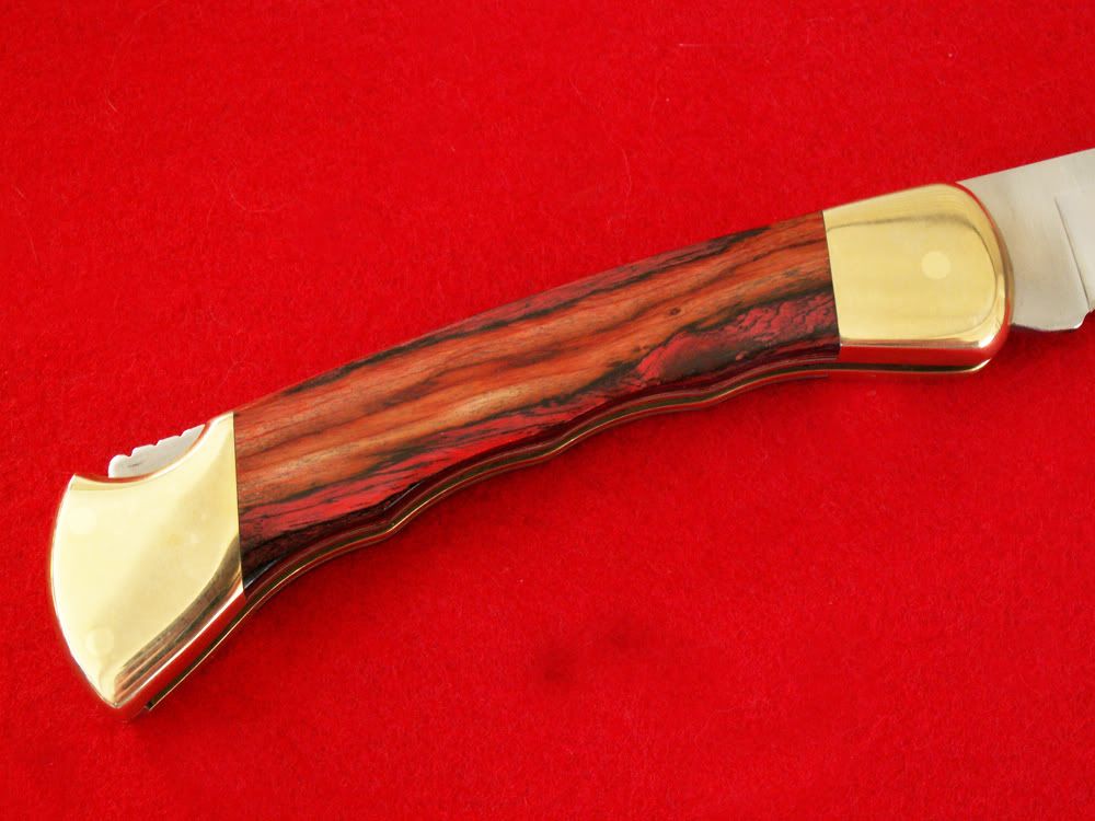 Aztec110c.jpg