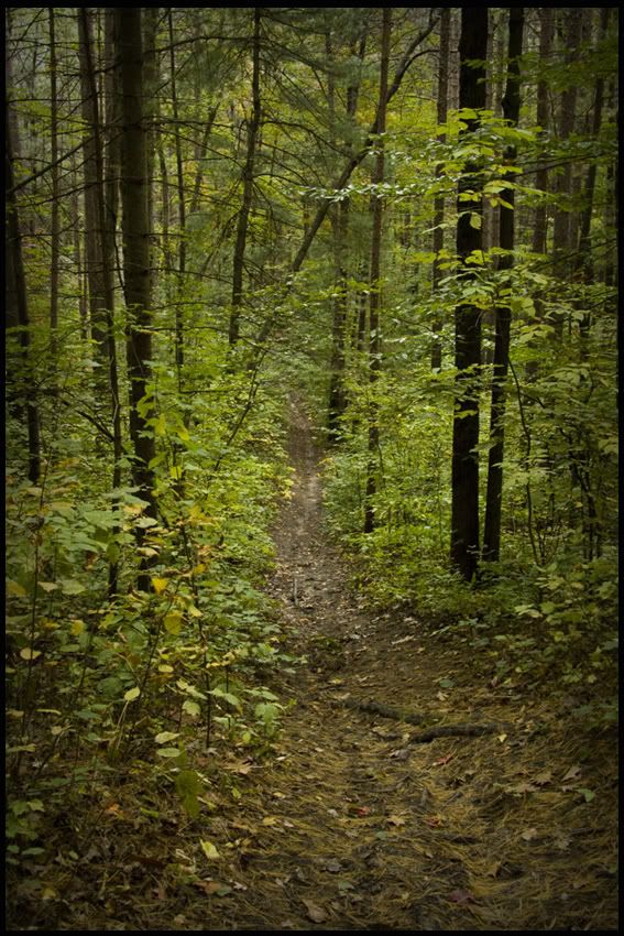 Trail2.jpg