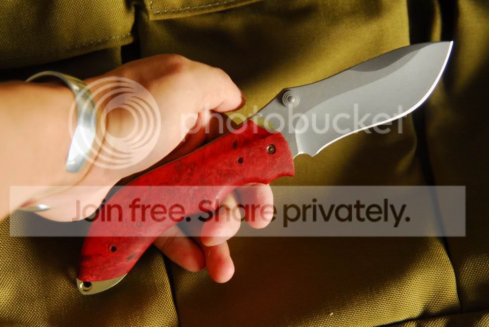 NeilBlackwoodAutoCurr16.jpg