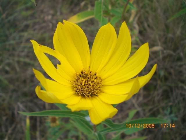 AbileneTripOctober2008074.jpg