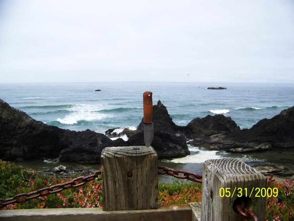 100_0694.jpg